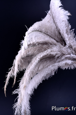 Autruche - 32-42 cm - gris clair-blanc naturel